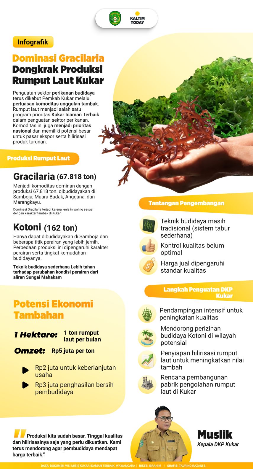 Dominasi Gracilaria Dongkrak Produksi Rumput Laut Kukar, Pabrik Pengolahan Disiapkan