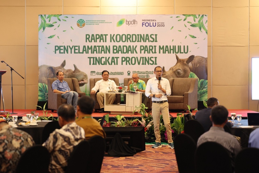 Kritis Tinggal Satu Ekor di Alam Liar, Badak Pari Mahulu Segera Dievakuasi Lewat Udara