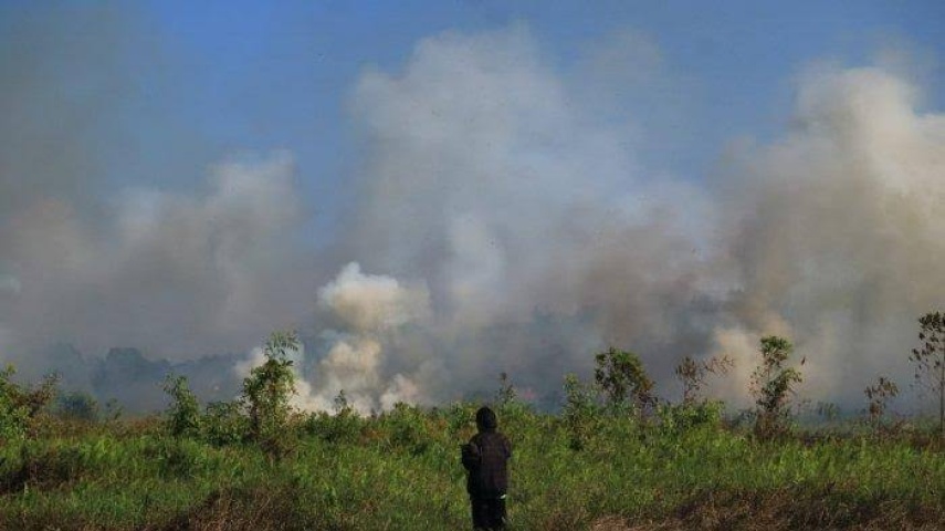 BMKG Rilis Peringatan Kekeringan Awas Dasarian I Agustus 2026, Kaltim Masuk Kategori Waspada