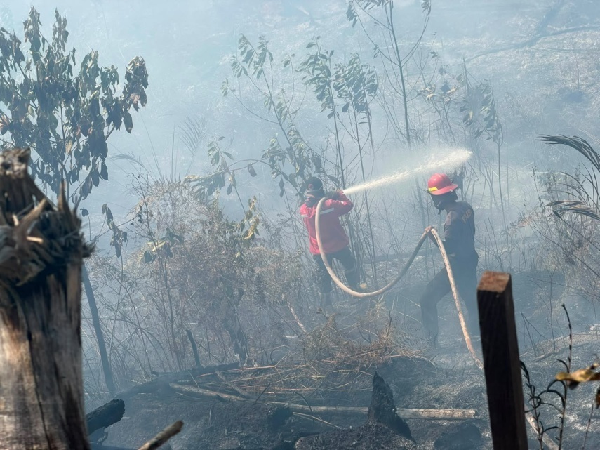 Hotspot Karhutla di Kaltim Melonjak Dua Kali Lipat, BMKG Sebut Asap Berasal dari Pembakaran Lokal