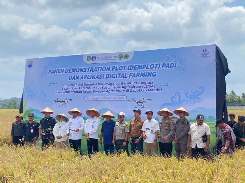 BI Kaltim Dorong Digital Farming, Hasil Panen Padi Melonjak Jadi 6,95 Ton per Hektare