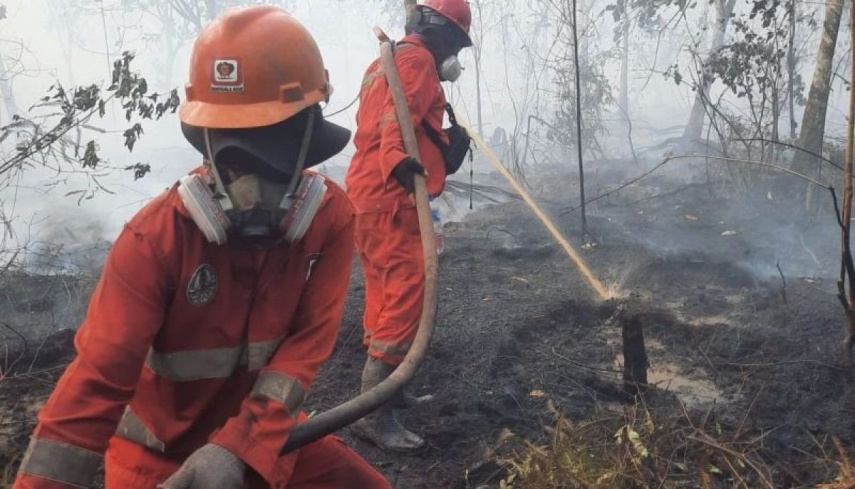 Polda Kaltim Tetapkan 33 Tersangka Kasus Karhutla, 2 Di Antaranya Korporasi