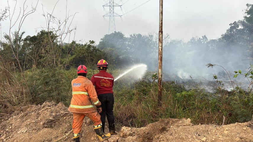 Karhutla Ancam Hutan dan Satwa Liar, DPRD Samarinda Desak Dukungan Pusat